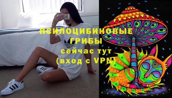 spice Белокуриха